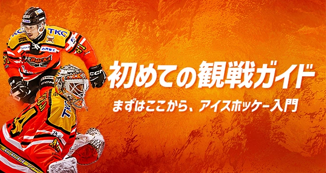 初めてのアイスバックス