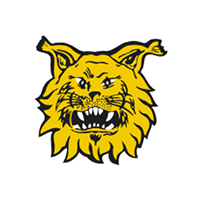 イルベスホッケーオイ(Ilves Hockey-Oy)
