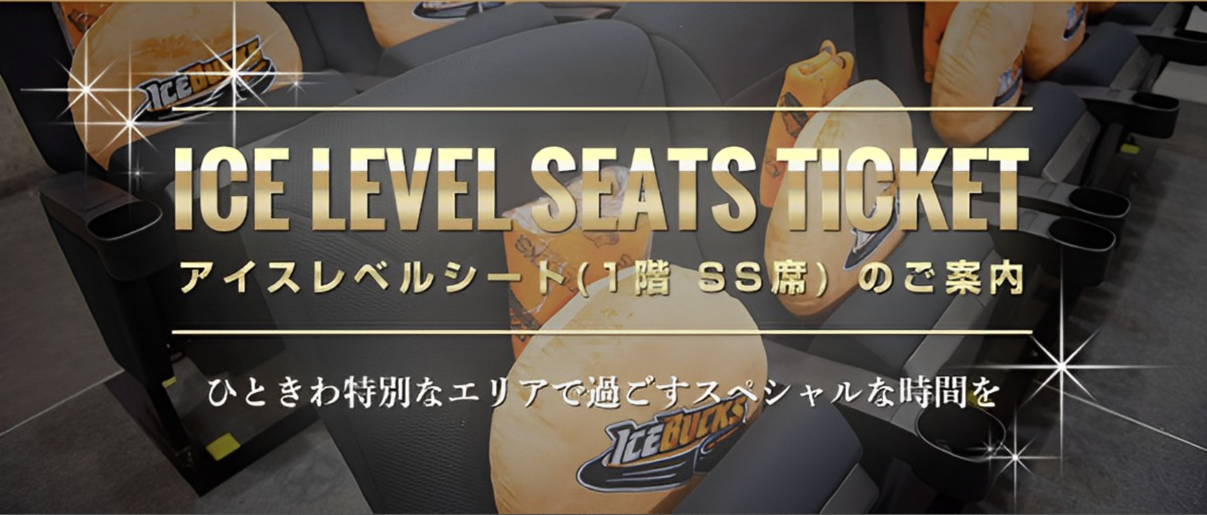 アイスレベルシートの御案内～ひときわ特別なエリアで過ごすスペシャルな時間を～