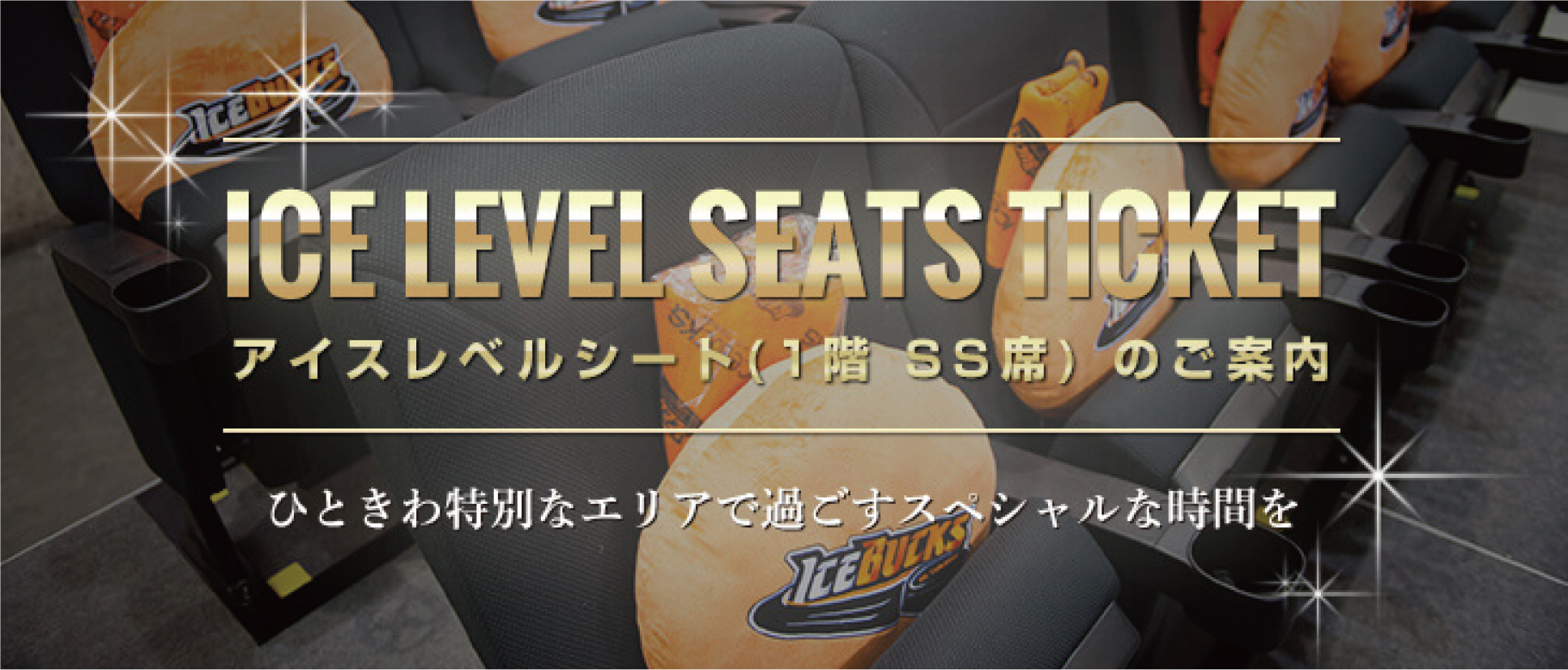 アイスレベルシートの御案内～ひときわ特別なエリアで過ごすスペシャルな時間を～
