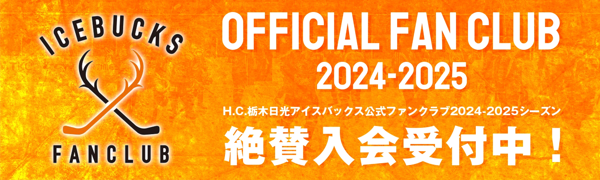 H.C. 栃木日光アイスバックス公式ファンクラブメインイメージ