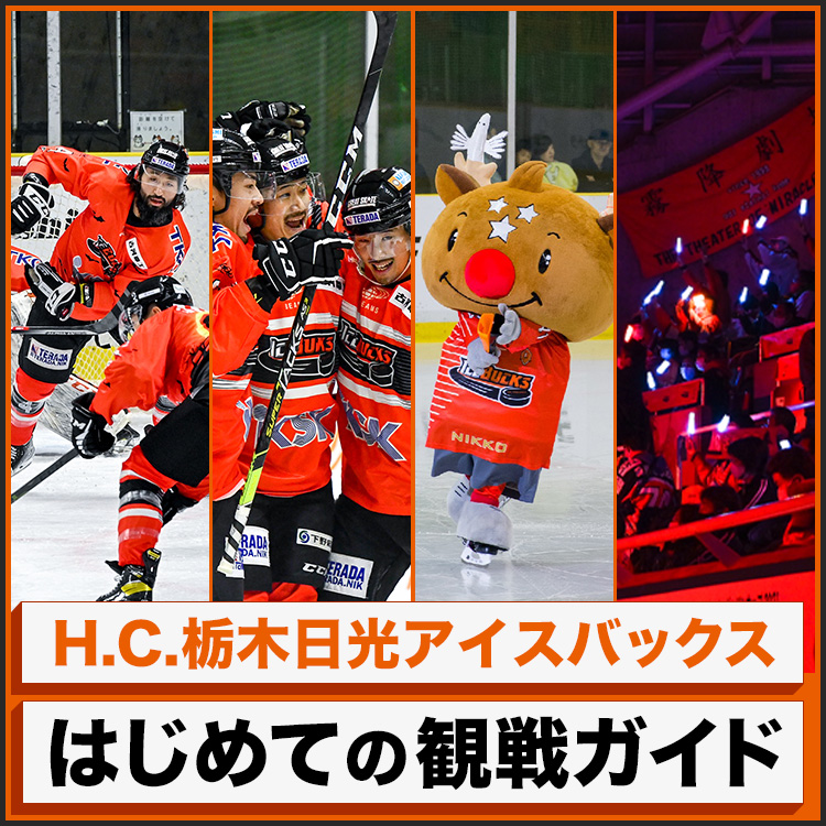 はじめてのアイスホッケー試合観戦ガイド H C 栃木日光アイスバックス 公式 はじめてのアイスホッケー試合観戦ガイド H C 栃木日光アイスバックス 公式
