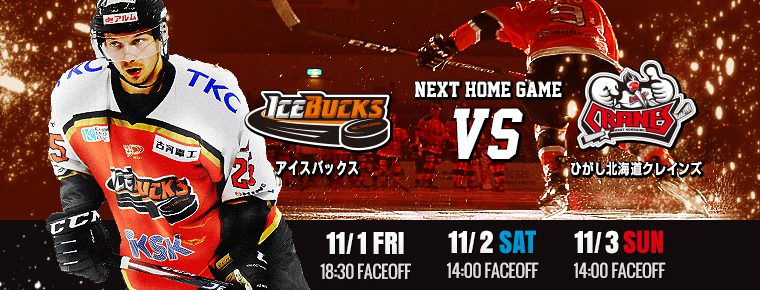 11月1・2・3日 クレインズ3連戦